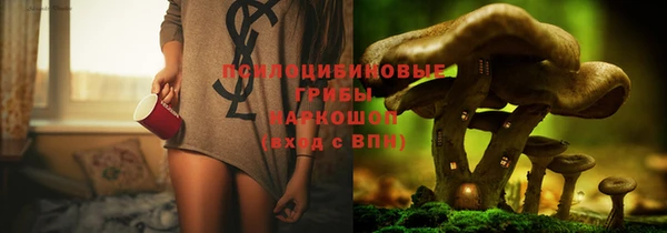 прущий лед Алексин