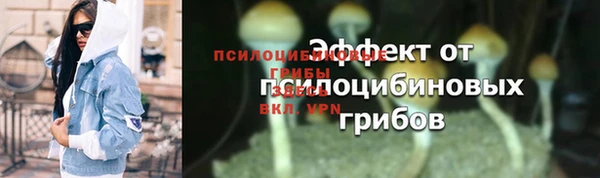 бошки Алексеевка
