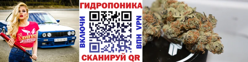 Бошки марихуана AK-47 Солигалич